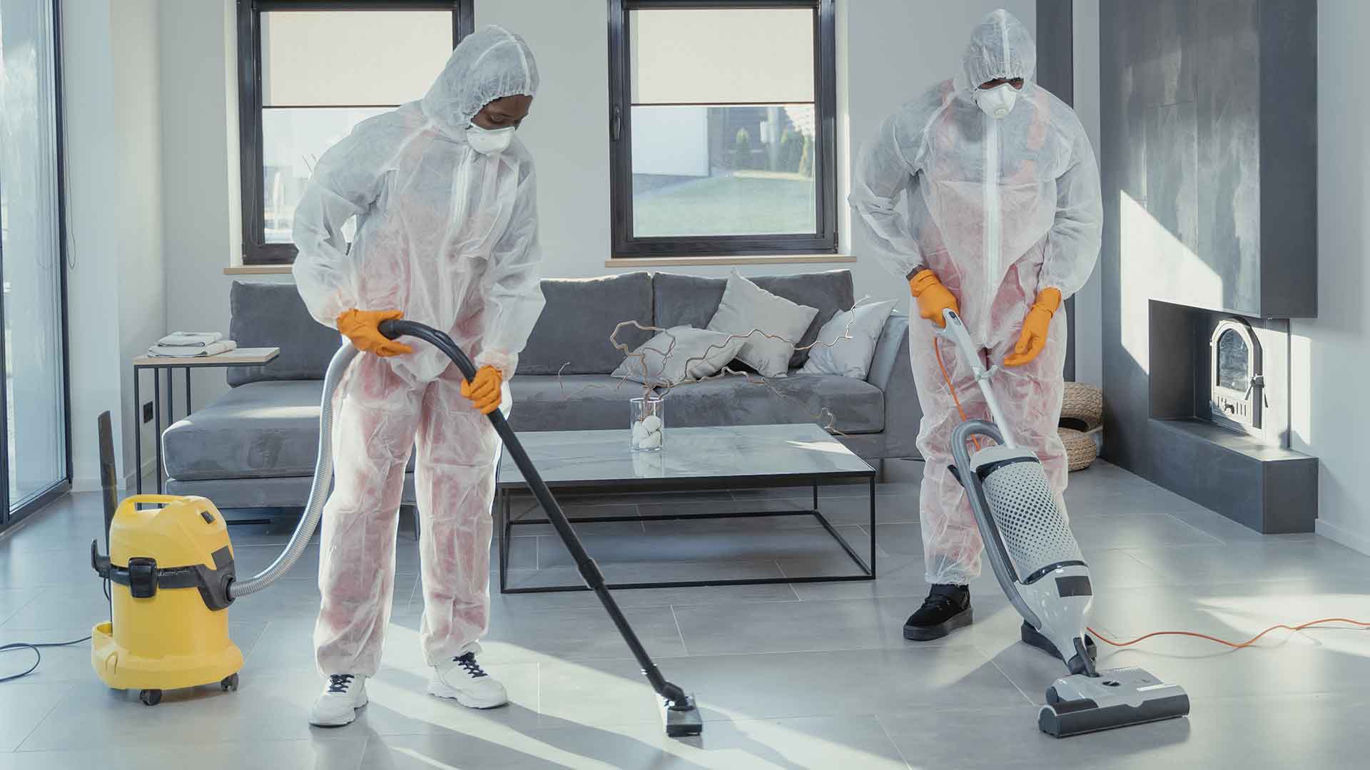 Pest Control Service