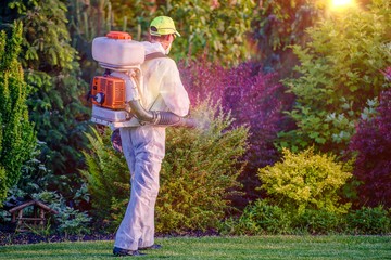 Pest Control Service